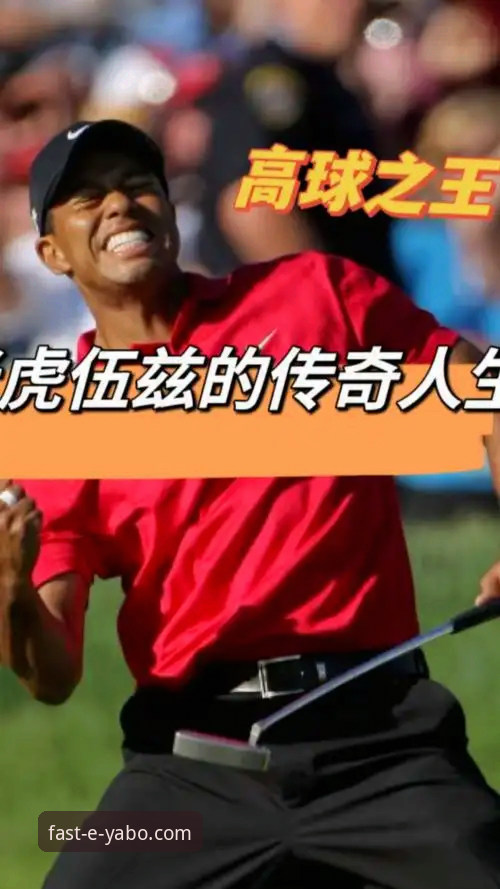 老虎伍兹药物驾驶事件深度剖析：从赛场传奇到法律漩涡的全面解读